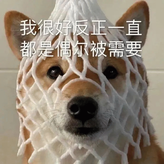 Source image for Melancholy Shiba in a Fruit Net