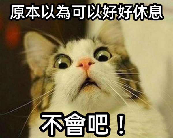 Source image for Shocked Cat Loses Its Chance to Rest