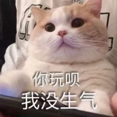 Source image for Phone-Holding Cat Pretends Not to Be Mad