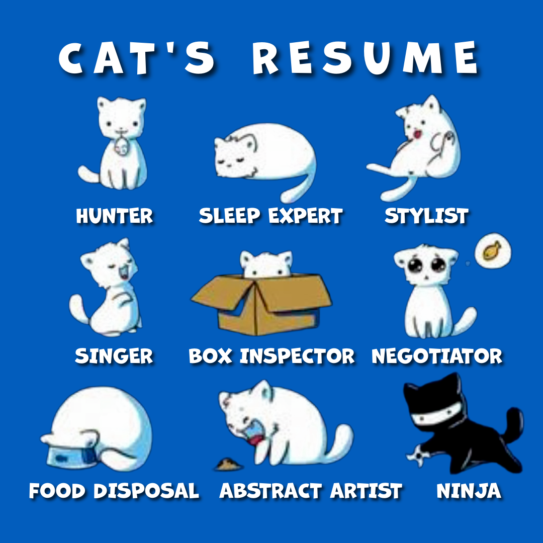Source image for Humorous Cat Resume Illustration Showing Nine Unique Skills