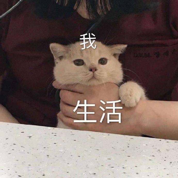 Source image for Blank-Faced Cat Crushed by Life