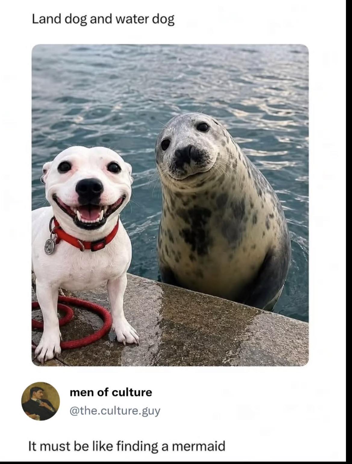 Source image for Happy Dog and Curious Seal Sharing a Concrete Pier Edge