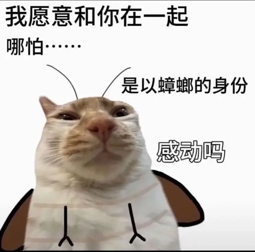 Source image for Cockroach Cat Makes a Devoted Confession