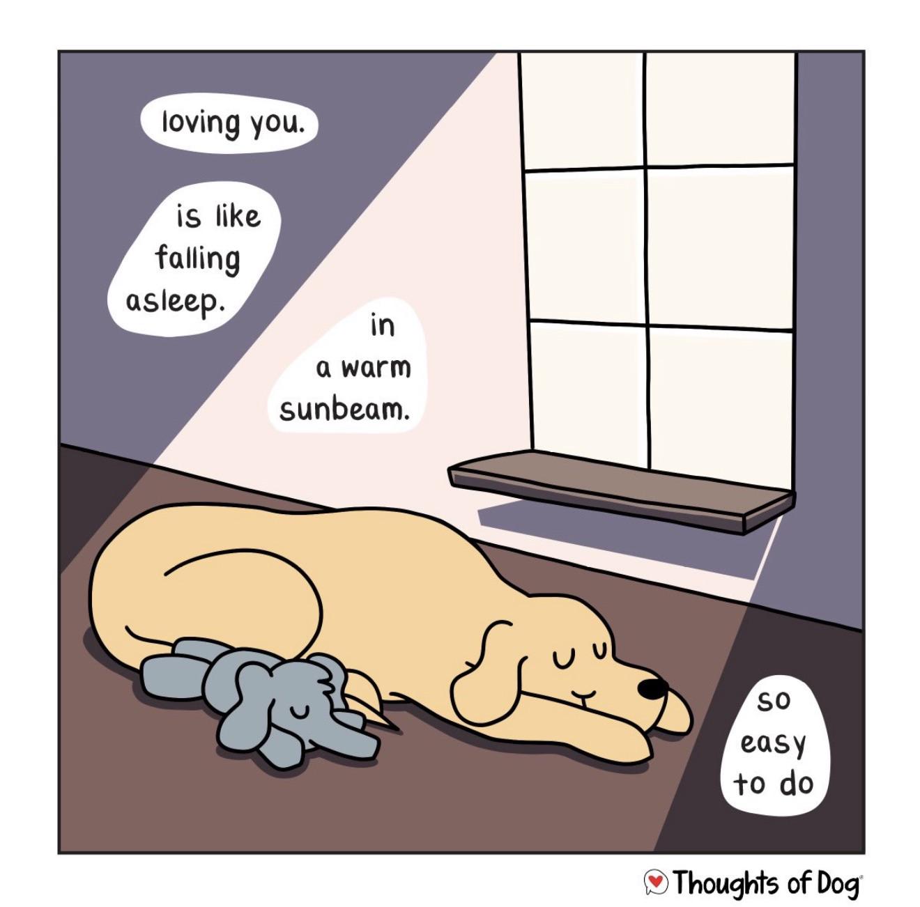 Source image for Sleeping Dog in Warm Sunbeam Illustrates Easy Love