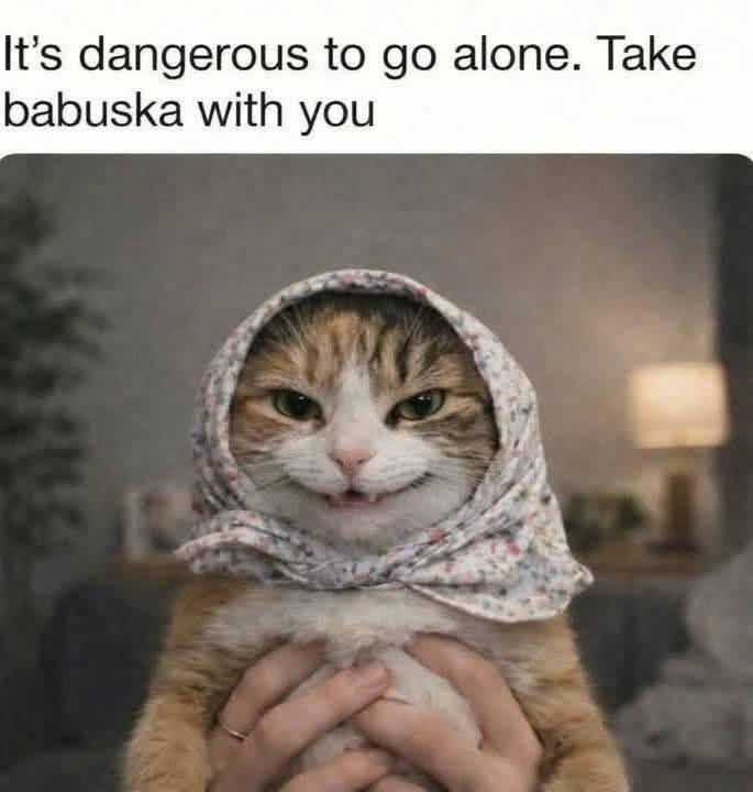 Source image for Grumpy Cat Wearing Babuska Headscarf Held by Human Hands